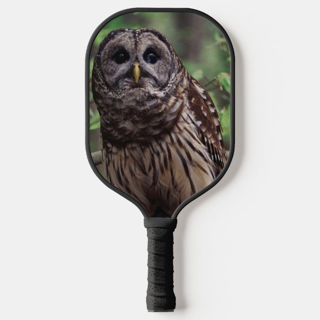 Barred Owl Pickleball Schläger (Vorderseite)