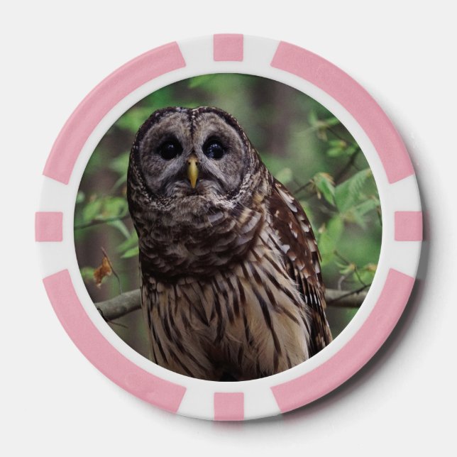 Barred Owl Pokerchips (Vorderseite)