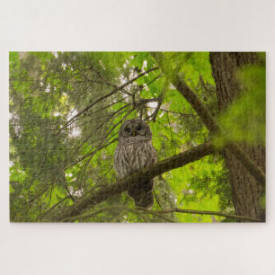 Barred Owl Puzzle