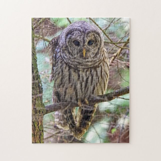 Barred Owl Puzzle (Vertikal)