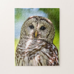 Barred Owl Puzzle