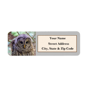 Barred Owl Rücksendeadressen-Aufkleber
