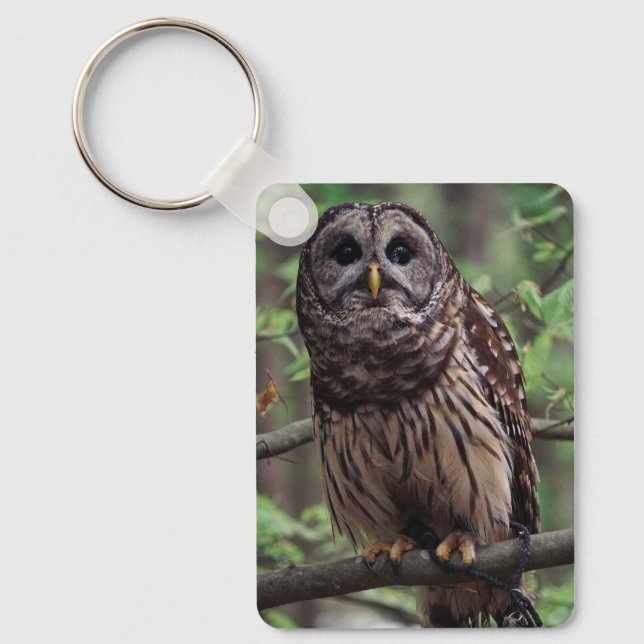 Barred Owl Schlüsselanhänger (Vorderseite)