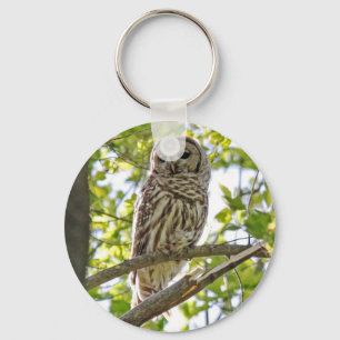 Barred Owl Schlüsselanhänger