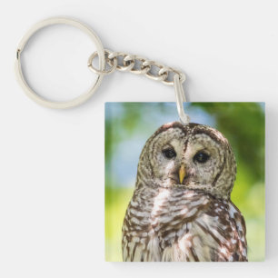 Barred Owl Schlüsselanhänger