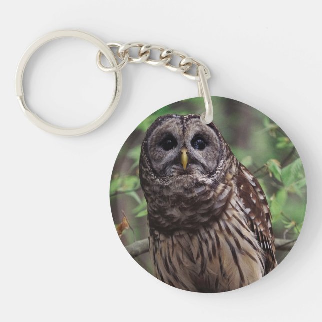 Barred Owl Schlüsselanhänger (Vorderseite)