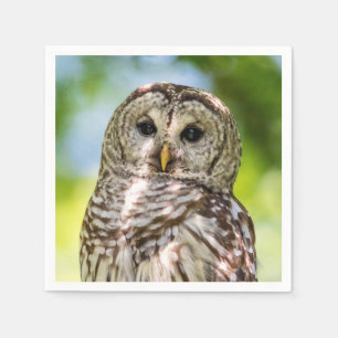 Barred Owl Serviette