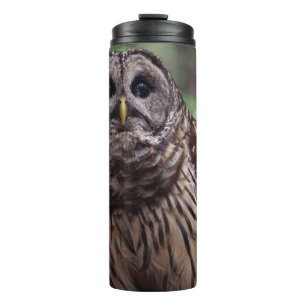 Barred Owl Thermosbecher