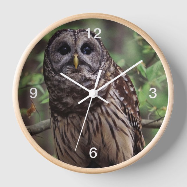 Barred Owl Uhr (Vorderseite)