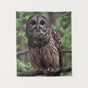 Barred Owl Wandteppich