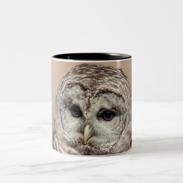 Barred Owl Zweifarbige Tasse (Mittel)