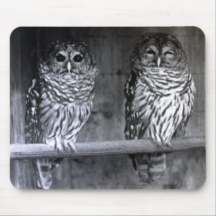 Barred Owls Mousepad