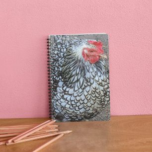 Barred Plymouth Rock Chicken Notizbuch