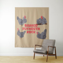 Barred Plymouth Rock Chickens