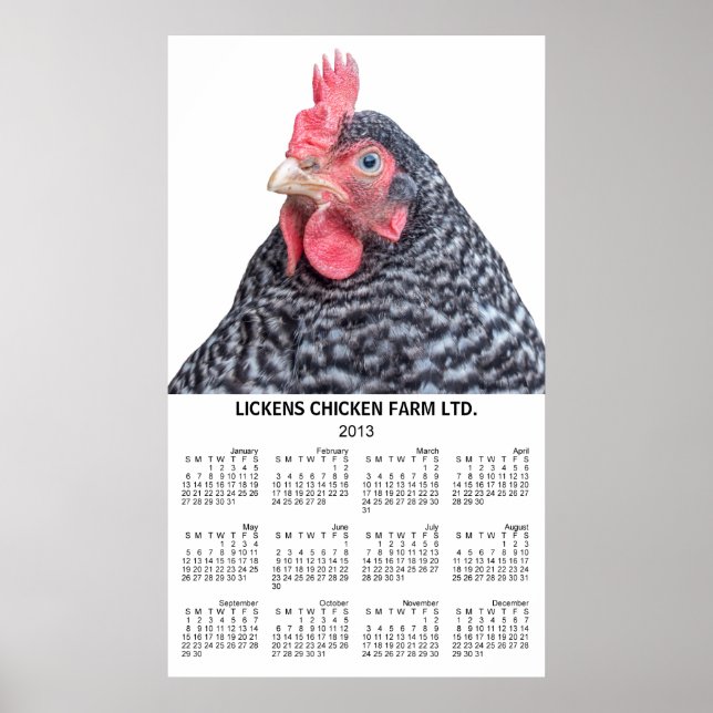 Barred Rock Chicken Wall Jährlich Kalender 2013 Poster (Vorne)