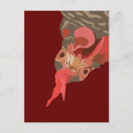 Barred-Rock Hen Postkarte