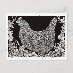 Barred Rock Huhn Postkarte