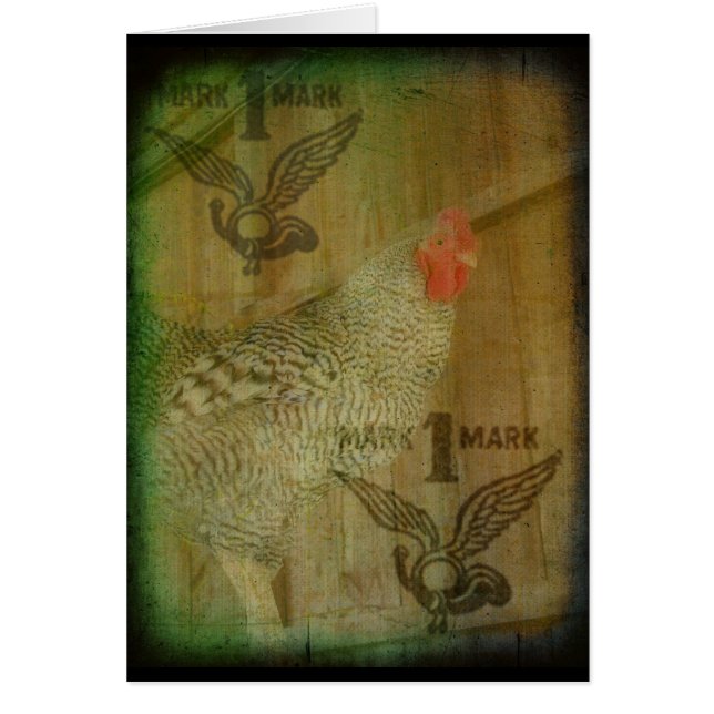 Barred Rock Rooster-Marke (Vorne)