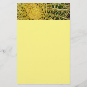 Barrel Cactus Closeup Abstrakt Naturefotografie Briefpapier