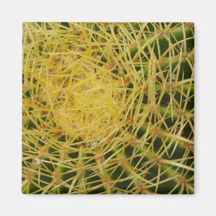 Barrel Cactus Closeup Abstrakt Naturefotografie Magnet