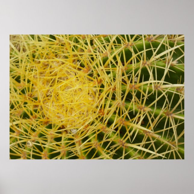 Barrel Cactus Closeup Abstrakt Naturefotografie Poster (Vorne)