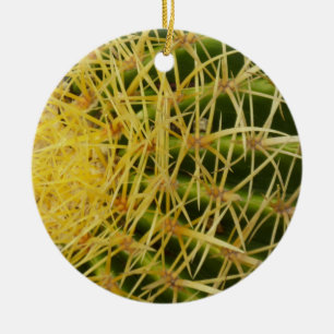 Barrel Cactus Closeup Nature Fotografy Keramikornament