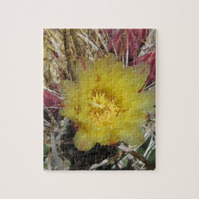 Barrel Cactus Fishaken Yellow Puzzle (Vertikal)