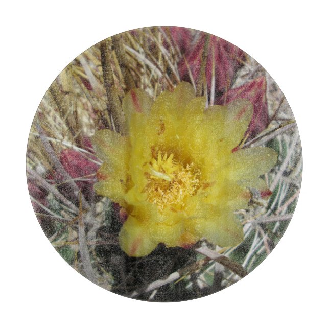 Barrel Cactus Fishaken Yellow Schneidebrett (Vorderseite)