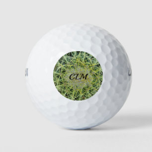Barrel Cactus Foto Südwestwüste Monogram Golfball
