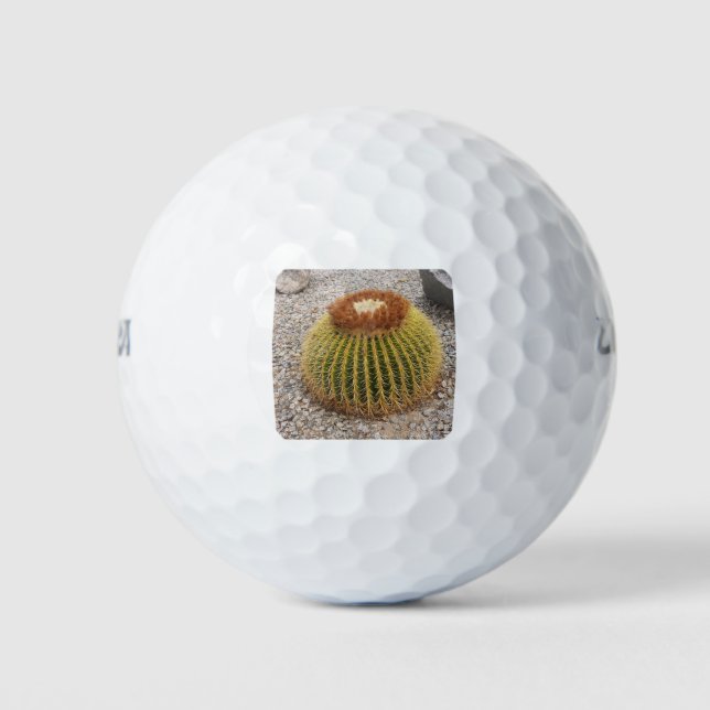 Barrel Cactus Golfball (Vorderseite)