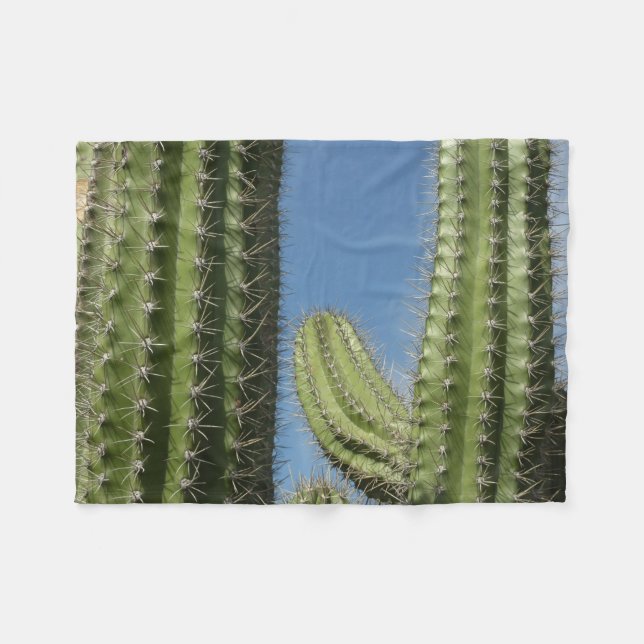 Barrel Cactus I Desert Foto Fleecedecke (Vorderseite (Horizontal))