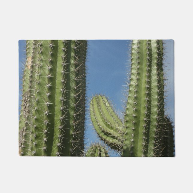 Barrel Cactus I Desert Foto Fußmatte (Vorderseite)