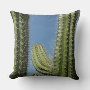 Barrel Cactus I Desert Foto Kissen