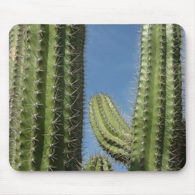 Barrel Cactus I Desert Foto Mousepad (Vorne)