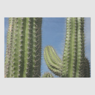 Barrel Cactus I Desert Foto Seidenpapier