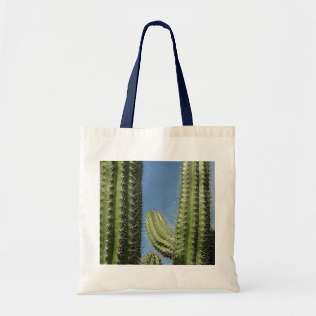 Barrel Cactus I Desert Foto Tragetasche (Vorne)