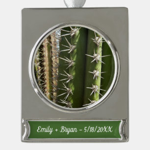 Barrel Cactus II Desert Nature Foto Banner-Ornament Silber