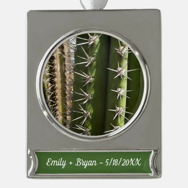 Barrel Cactus II Desert Nature Foto Banner-Ornament Silber (Vorderseite)