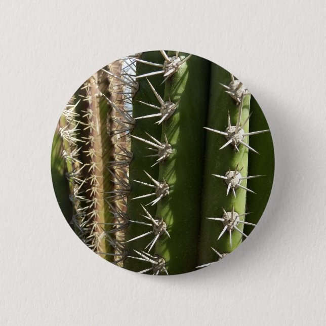 Barrel Cactus II Desert Nature Foto Button (Vorderseite)