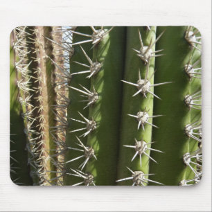 Barrel Cactus II Desert Nature Foto Mousepad