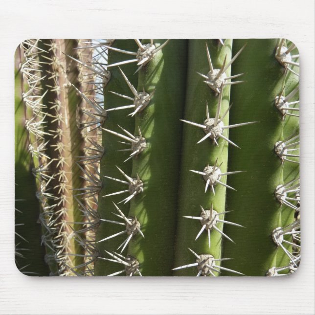 Barrel Cactus II Desert Nature Foto Mousepad (Vorne)