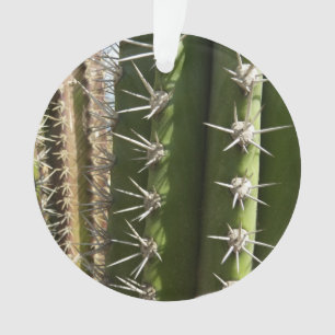 Barrel Cactus II Desert Nature Foto Ornament