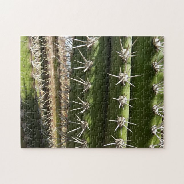 Barrel Cactus II Desert Nature Foto Puzzle (Horizontal)