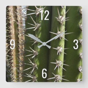 Barrel Cactus II Desert Nature Foto Quadratische Wanduhr