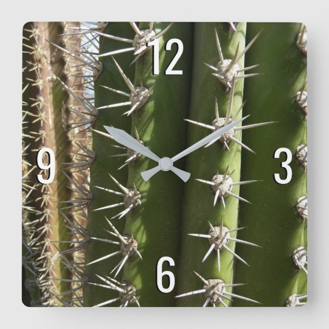 Barrel Cactus II Desert Nature Foto Quadratische Wanduhr (Vorderseite)