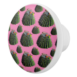 Barrel Cactus Knobs Keramikknauf