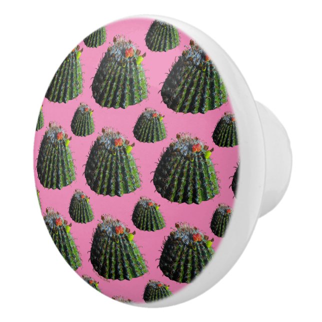 Barrel Cactus Knobs Keramikknauf (Rechts)
