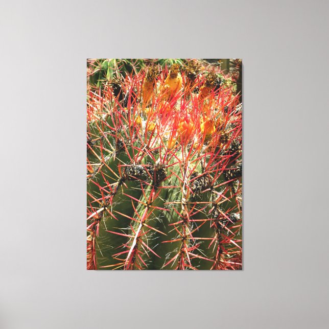 Barrel Cactus Leinwanddruck (Vorderseite)