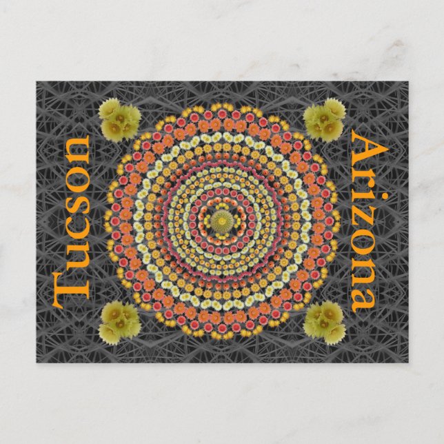 Barrel Cactus Mandala 2 als Postkarte (Vorderseite)