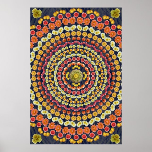 BARREL CACTUS MANDALA 3 POSTER (Vorne)